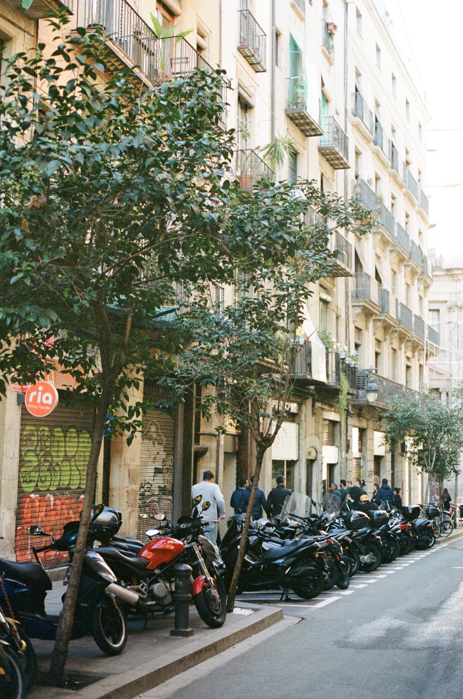 Barcelona, Spain photo 5