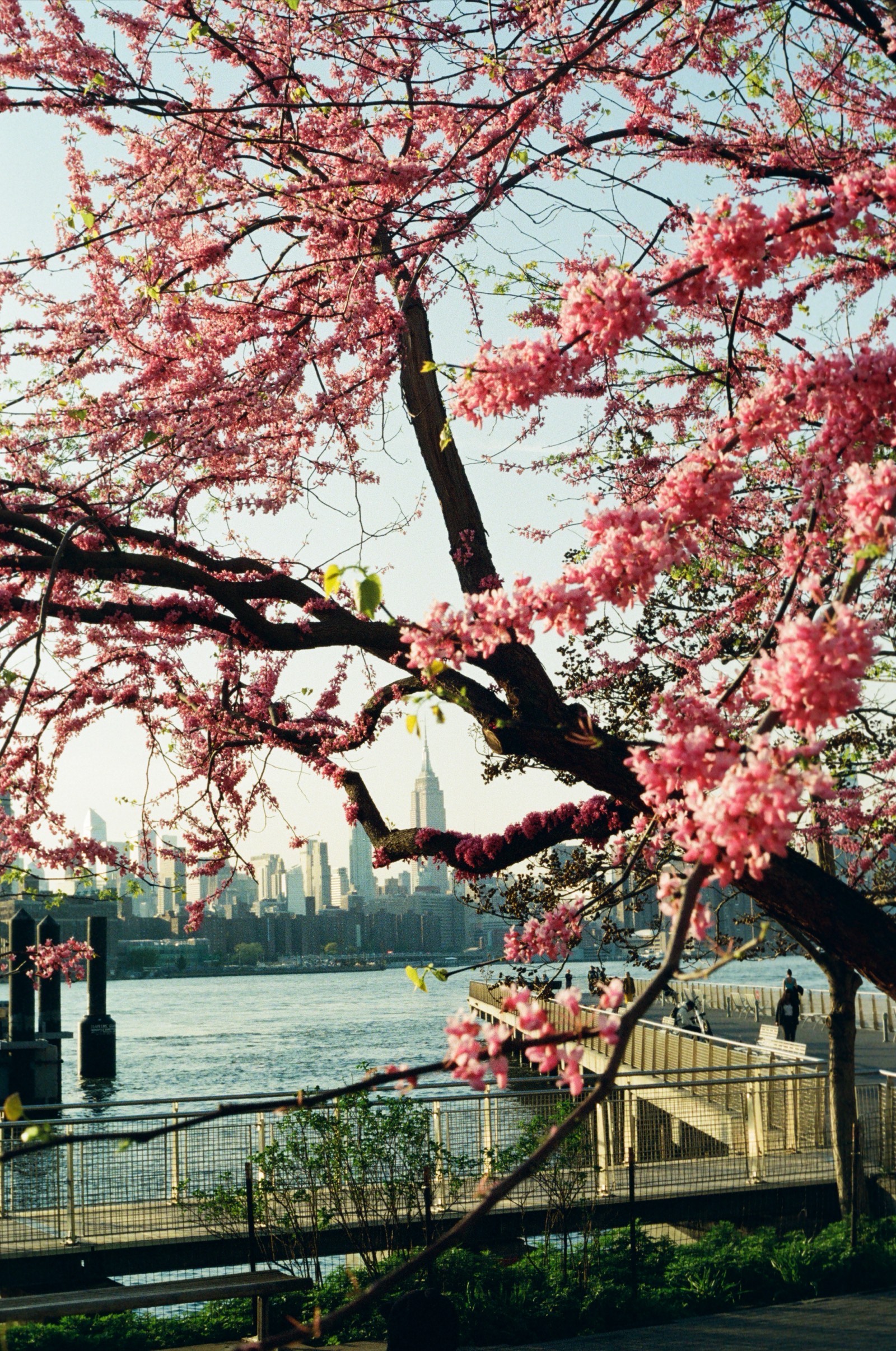 Brooklyn, NY photo 1