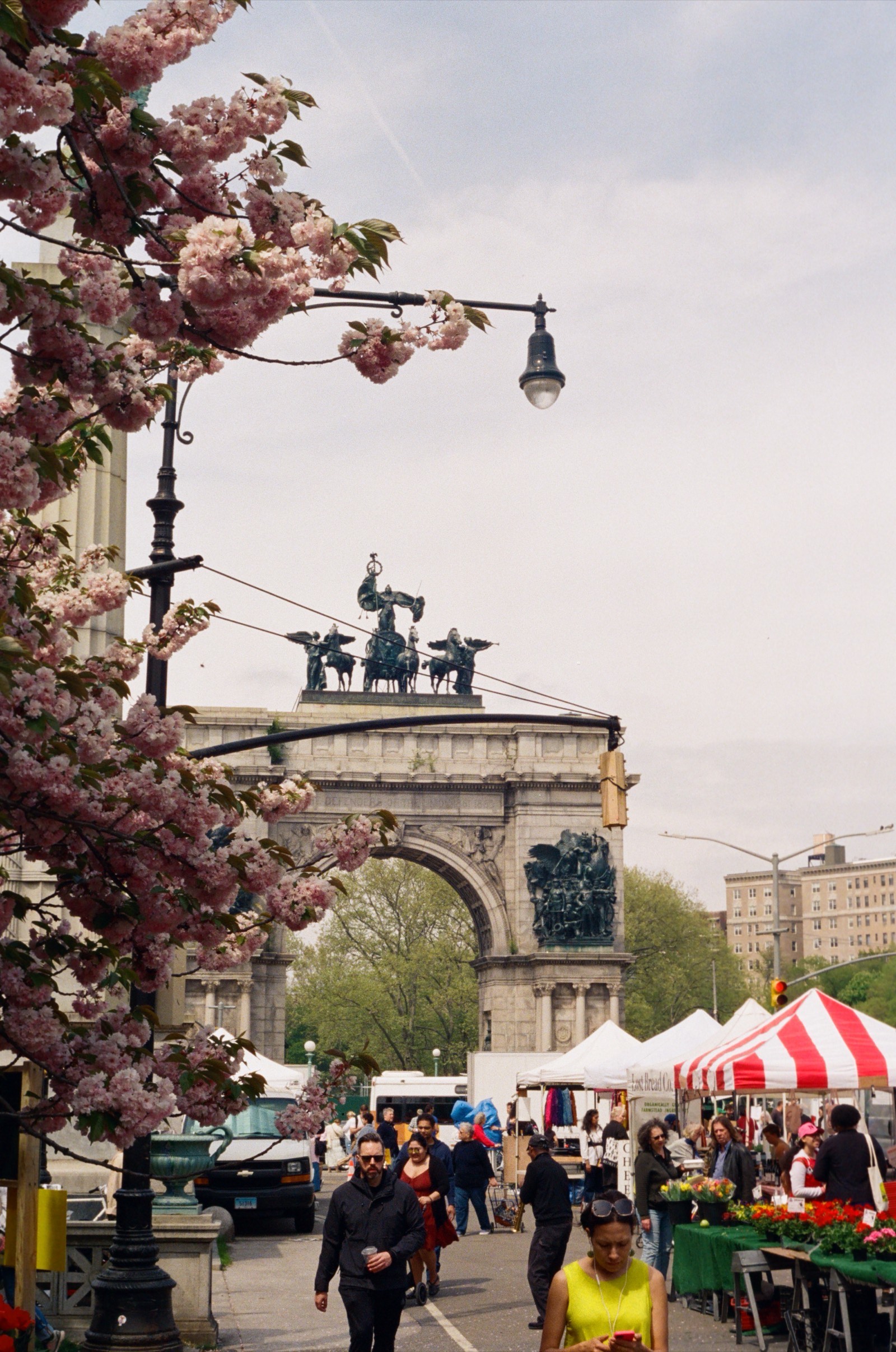 Brooklyn, NY photo 9