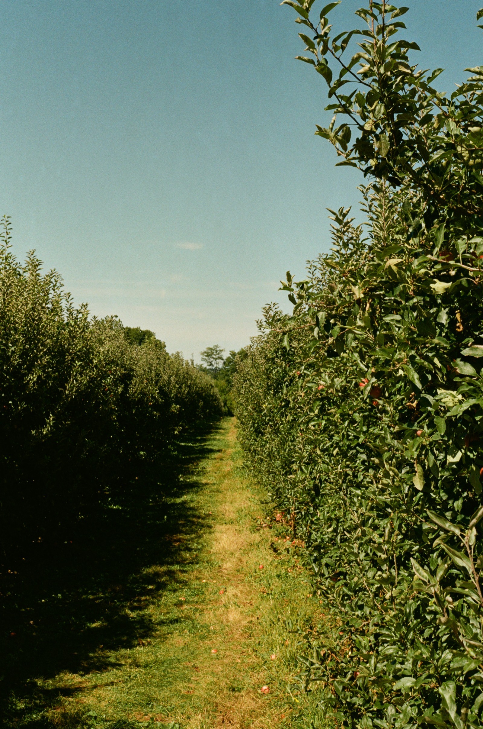 Fishkill, NY photo 3