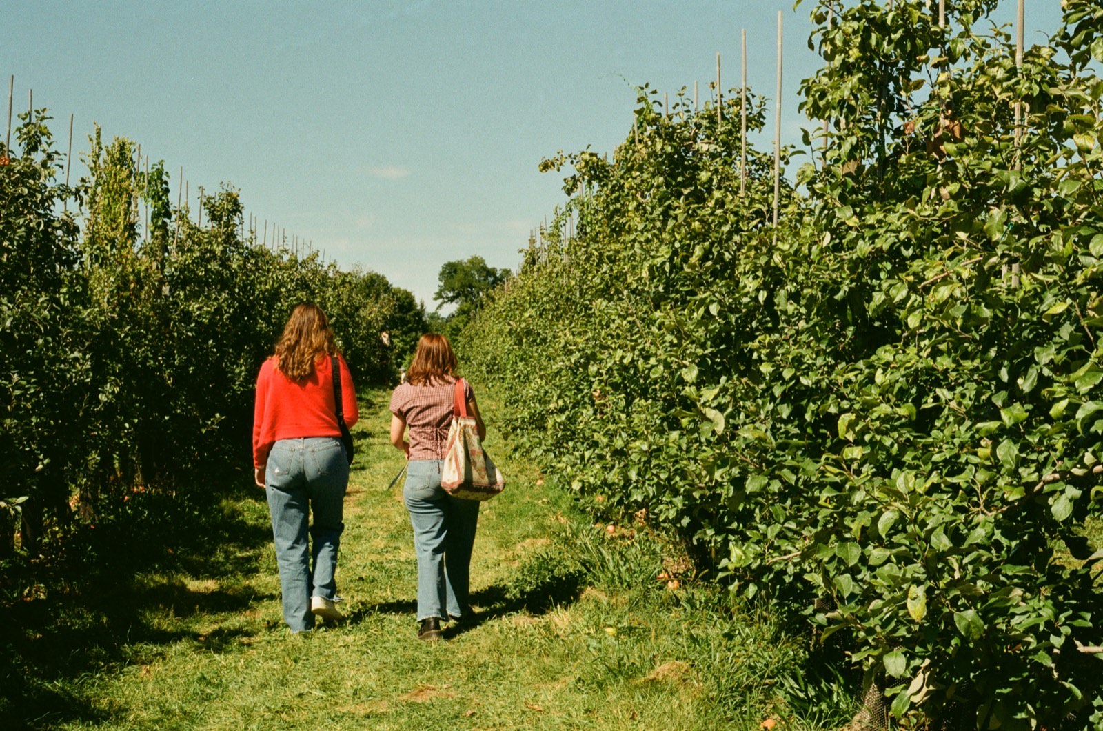 Fishkill, NY photo 4