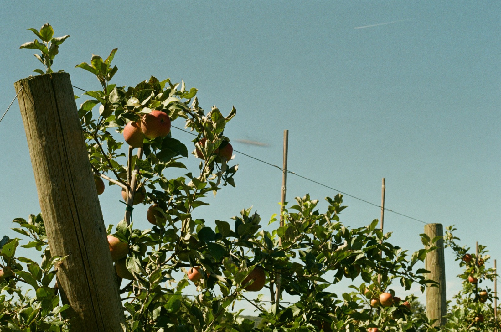 Fishkill, NY photo 5