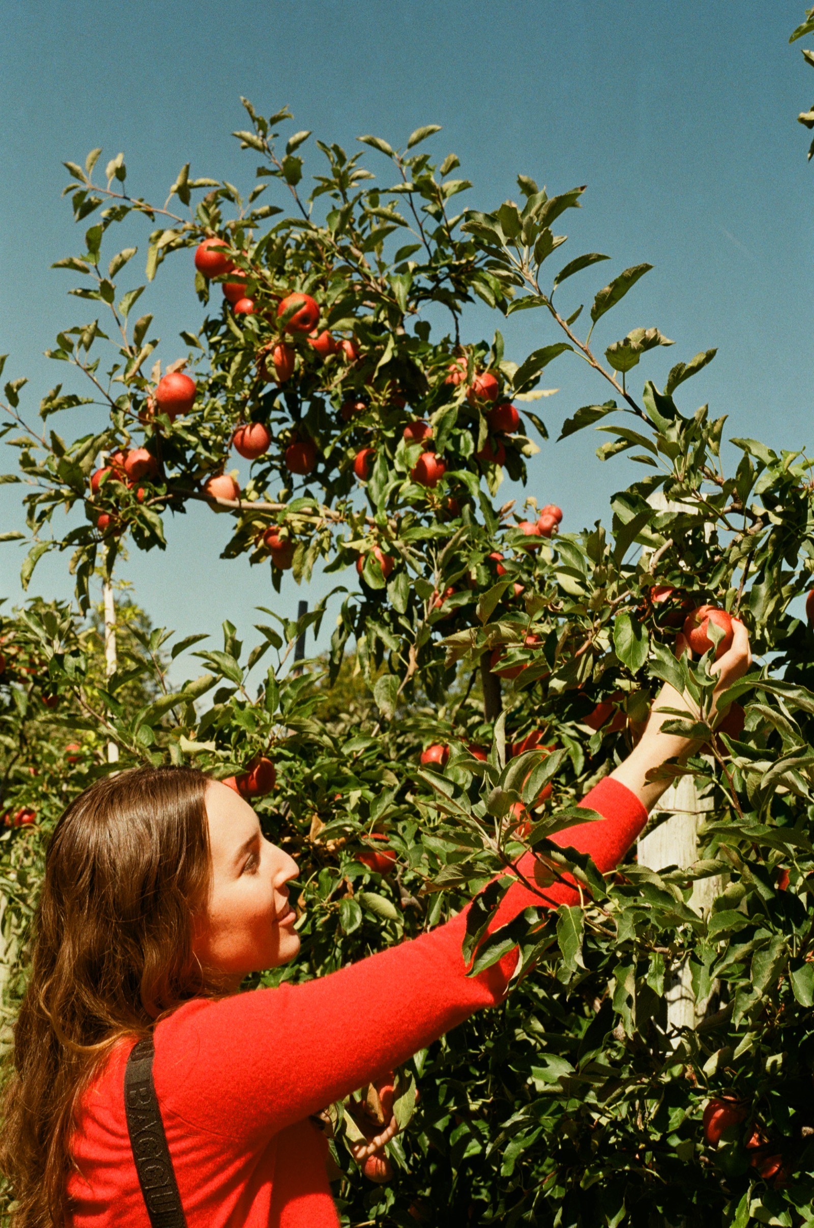 Fishkill, NY photo 6