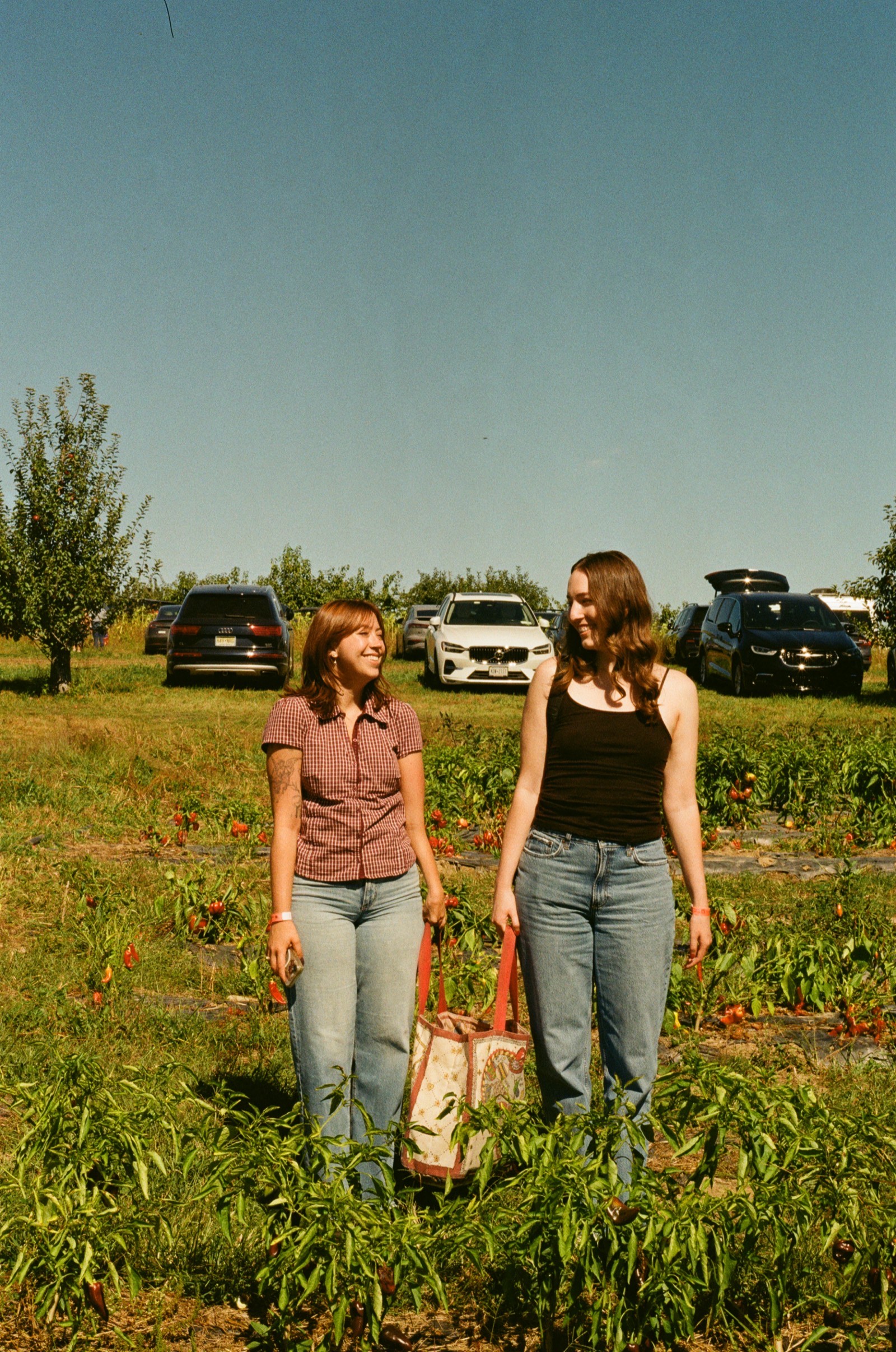 Fishkill, NY photo 9