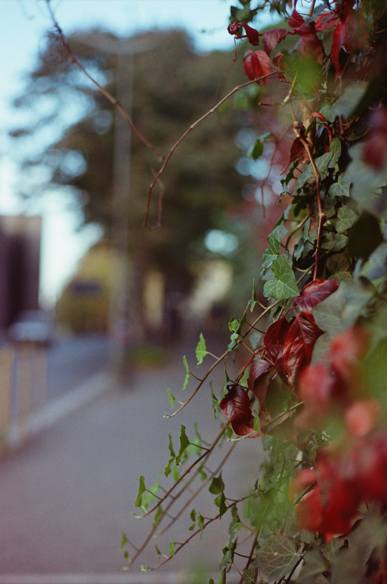 Rome, Italy photo 10