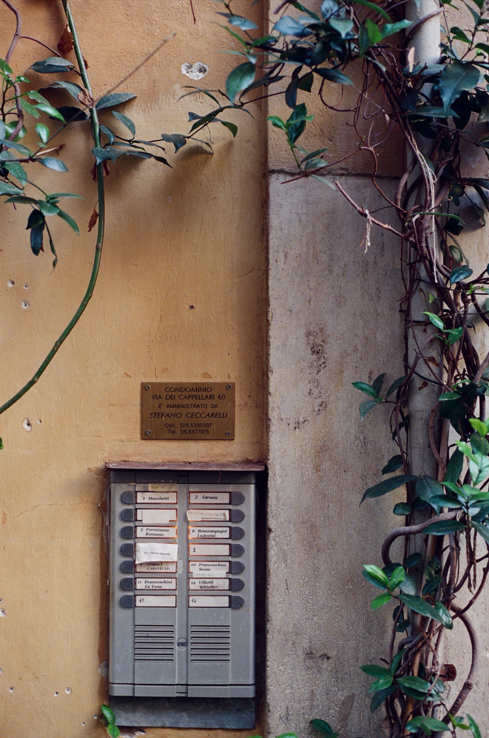 Rome, Italy photo 16